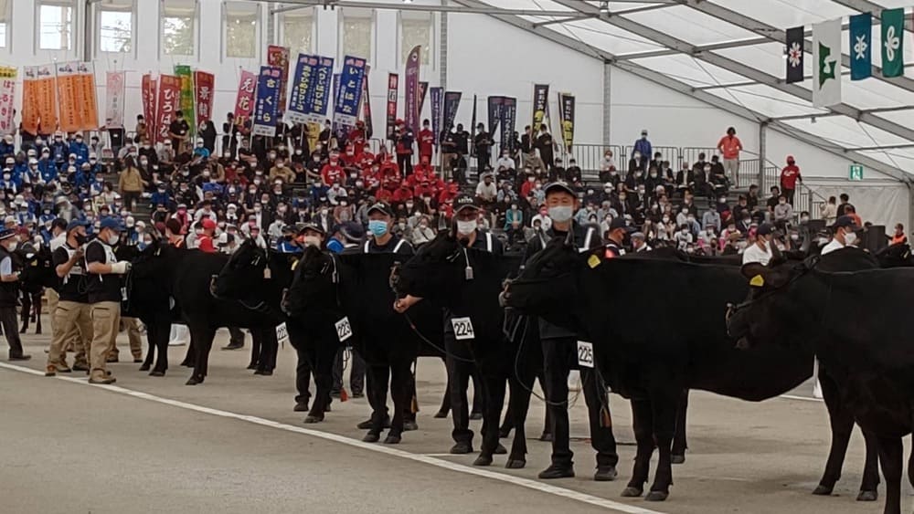 第12回 全国和牛能力共進会鹿児島大会の様子